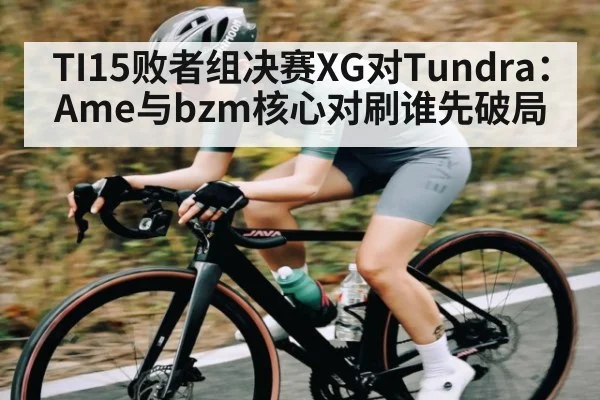 TI15败者组决赛XG对Tundra:Ame与bzm核心对刷谁先破局