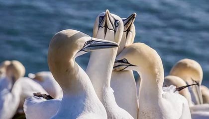 马德兴：国安之胜在于实力 立足长远更需赢得下轮